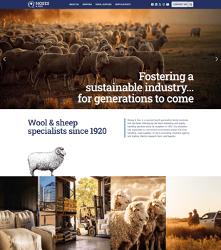 Website project for Moses & Son